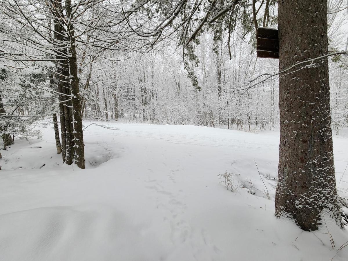 Ski In/Out Spruce Glen Townhomes On Great Eastern Trail Killington Exterior photo