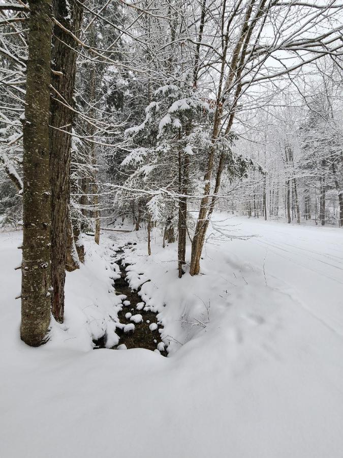 Ski In/Out Spruce Glen Townhomes On Great Eastern Trail Killington Exterior photo